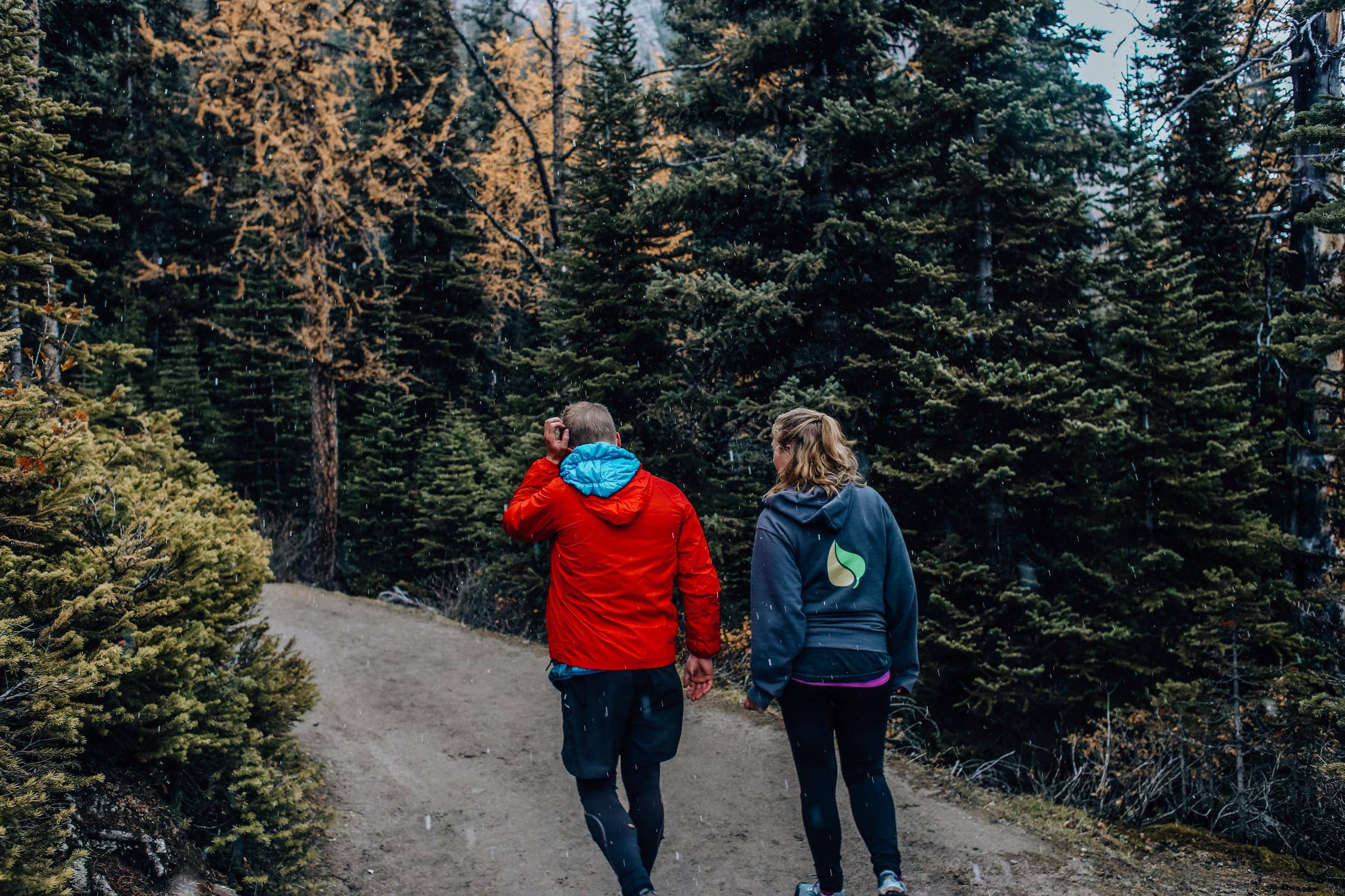 Ein Paar beim Spaziergang im Wald